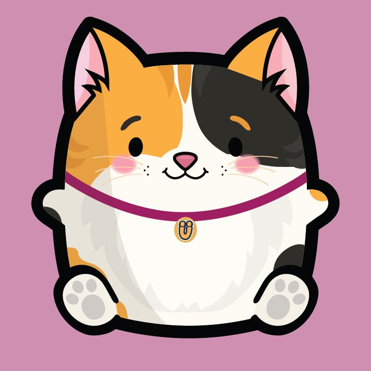 Milo the Japanese Bobtail Cat