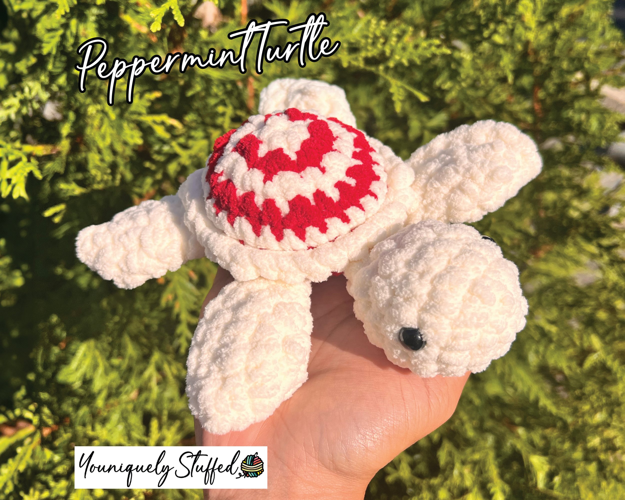 Peppermint-Turtle-01.jpg