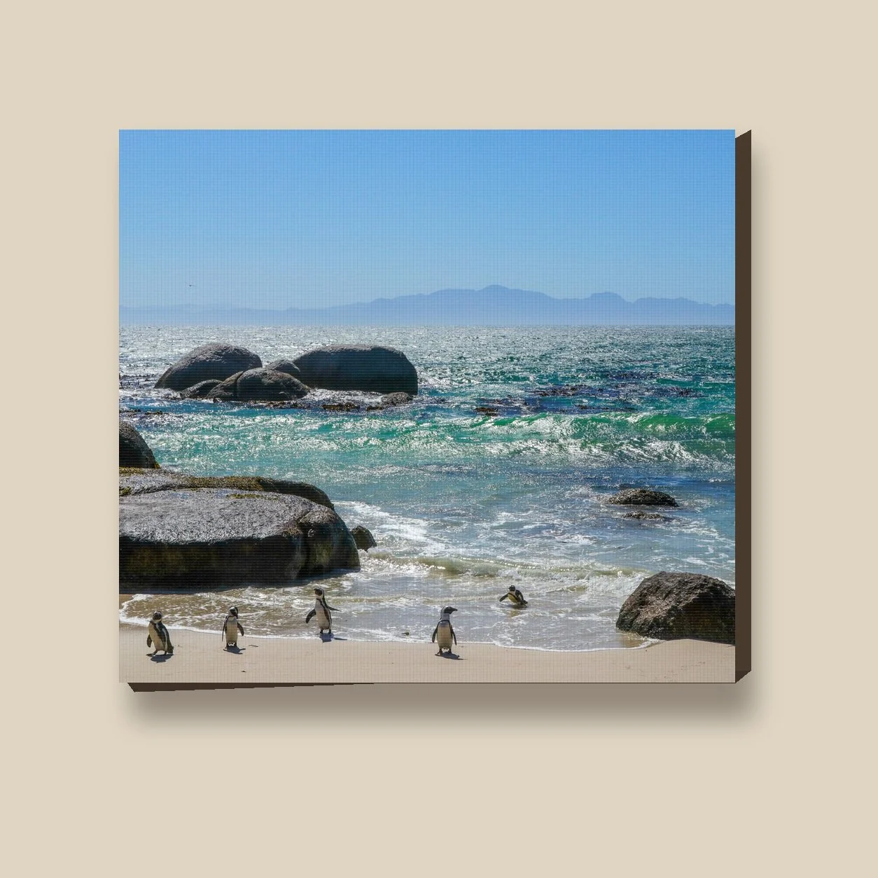boulders-beach-brigade-canvas-material-closeup.jpg