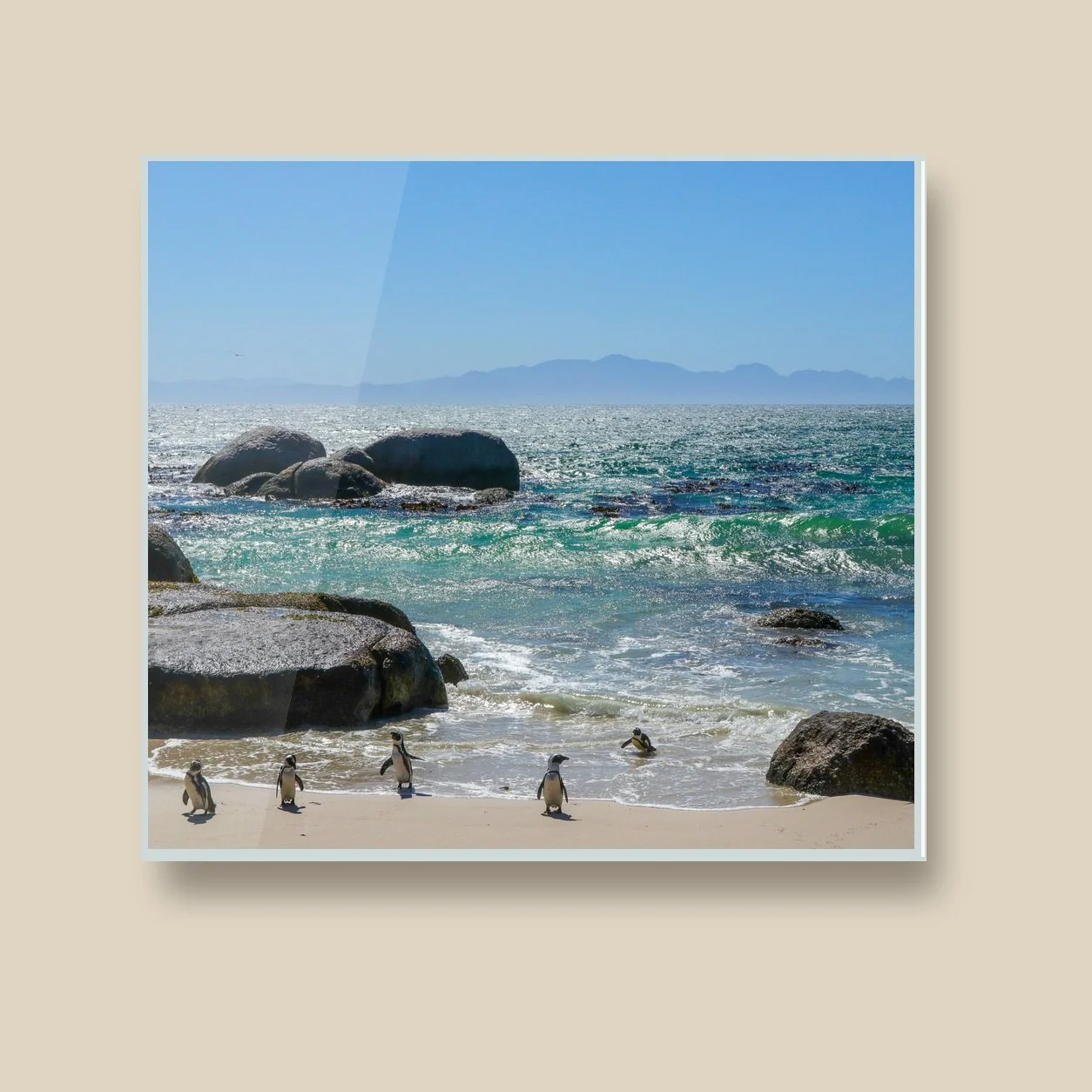 boulders-beach-brigade-acrylic-material-closeup.jpg