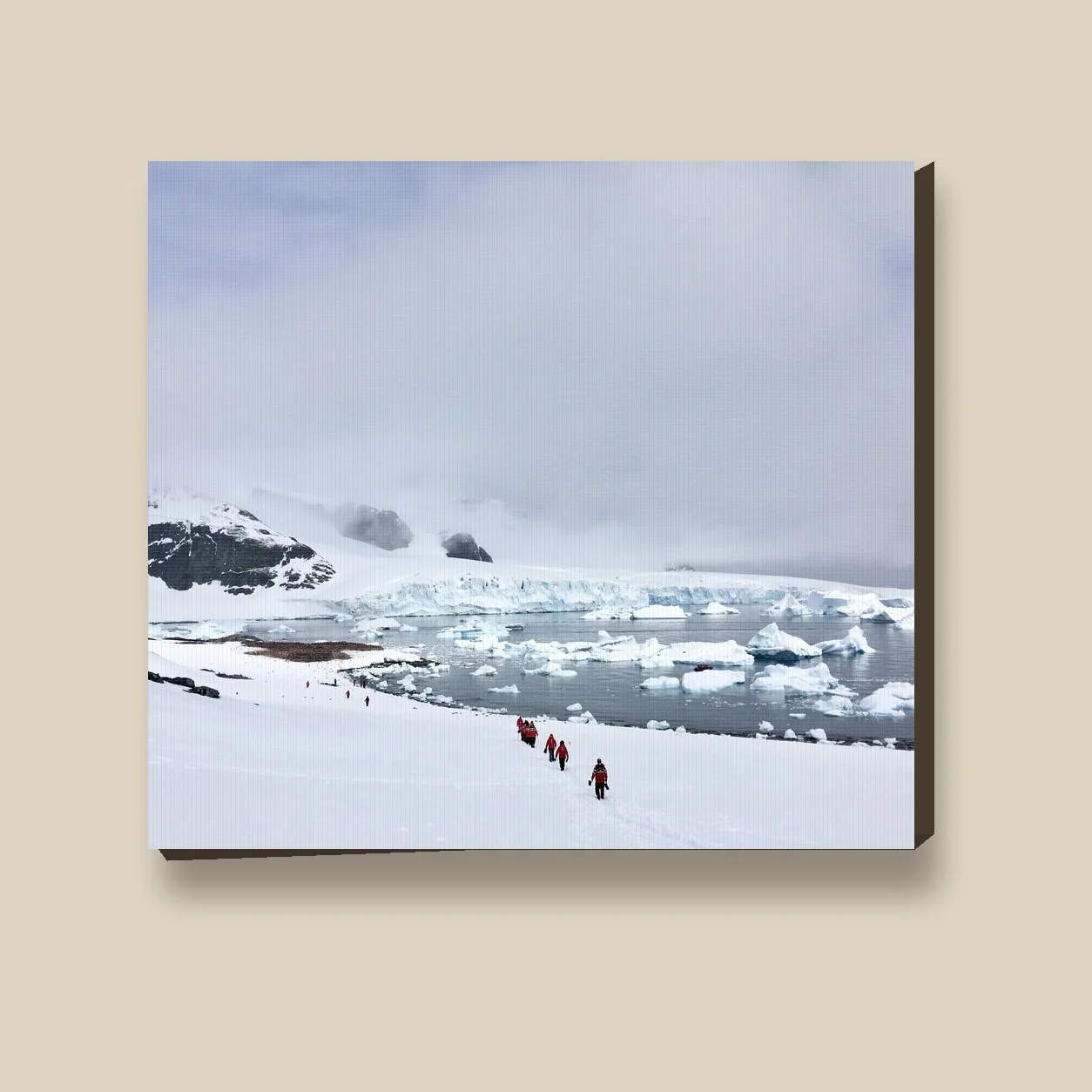 march-to-cuverville-canvas-material-closeup.jpg