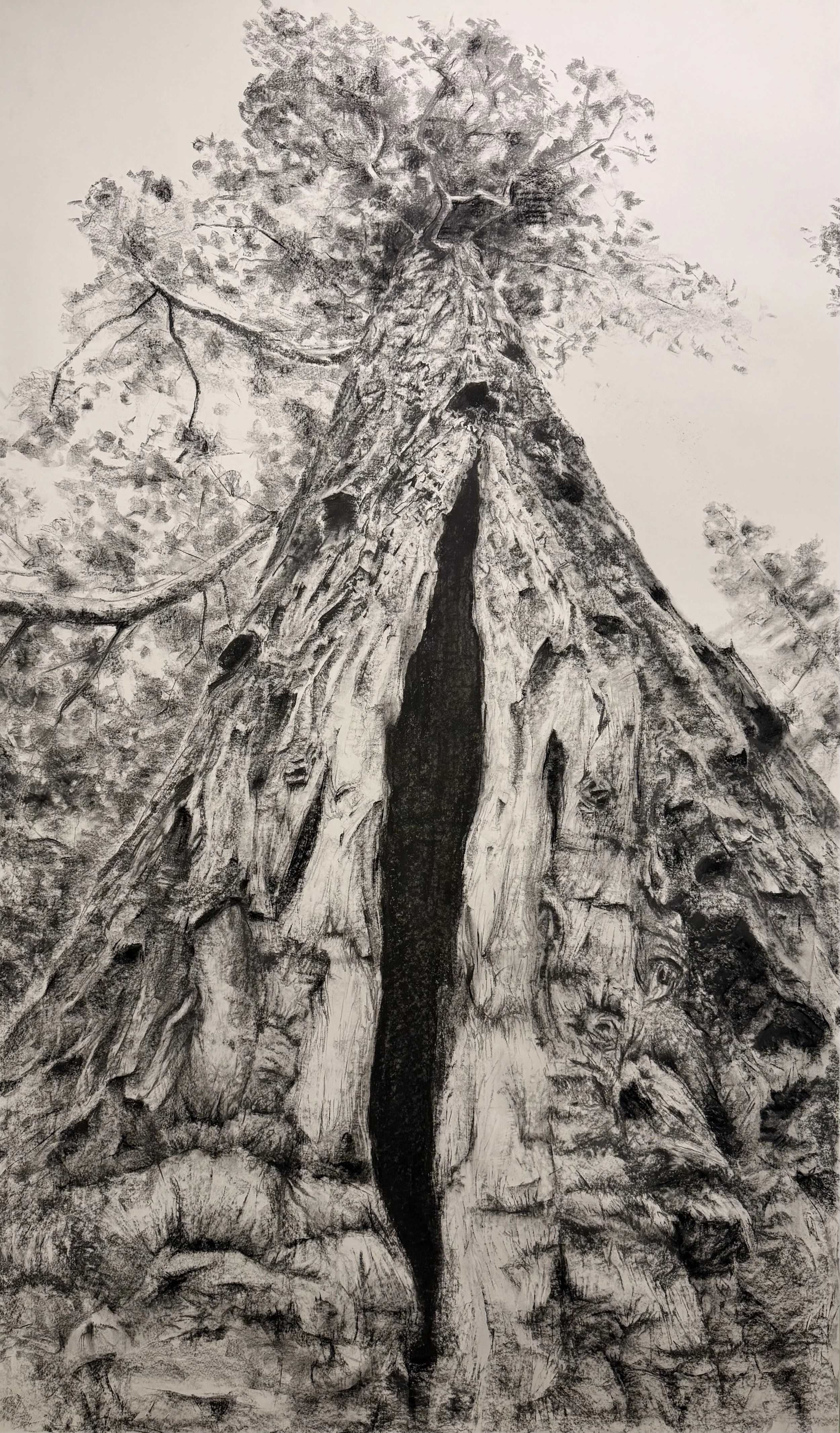 Artist Talk: Stephen Winters 