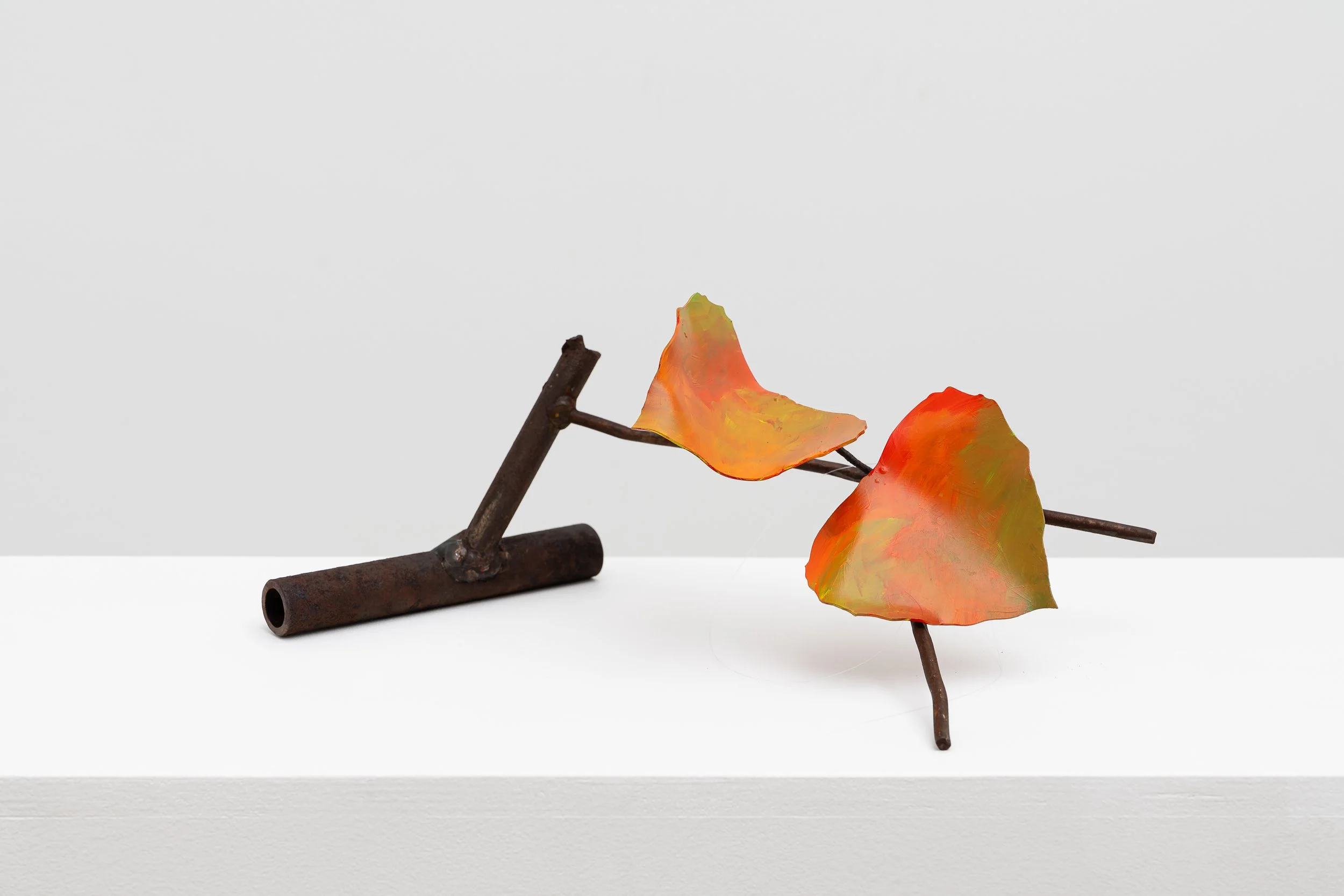 Opening Reception | David Kimball Anderson and Ken Taylor Reynaga