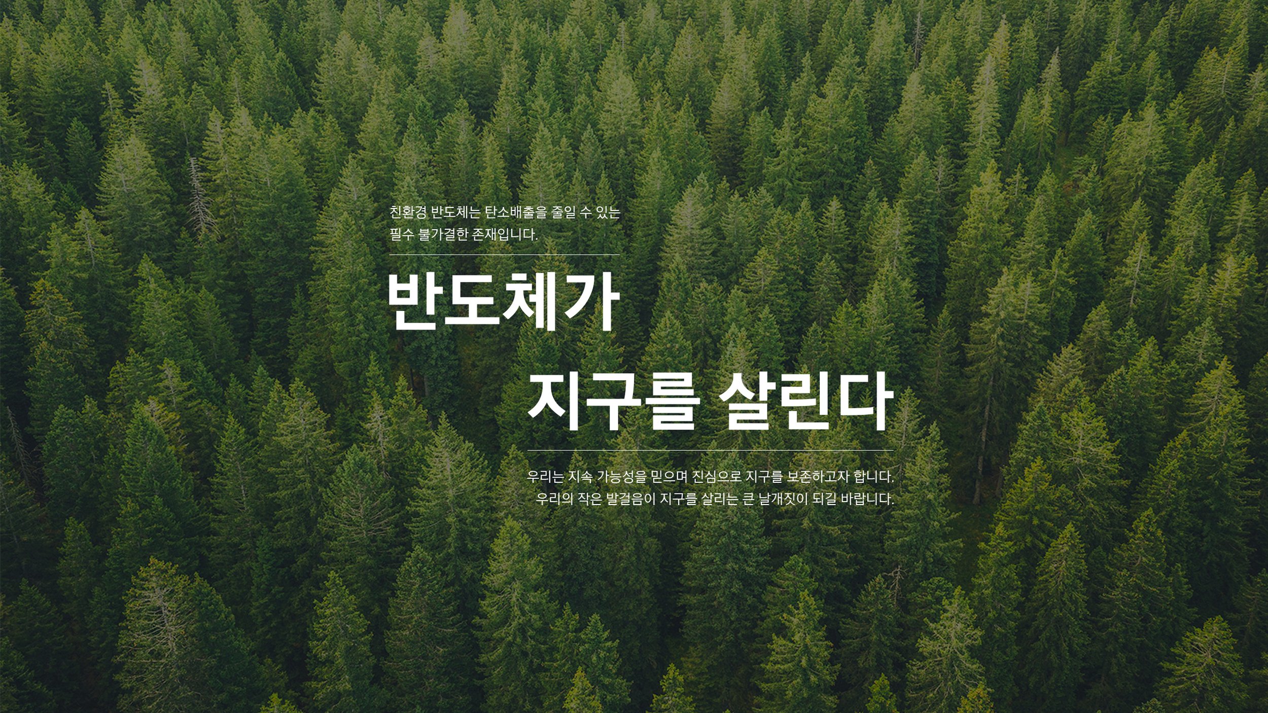 Vision-Statement2.jpg