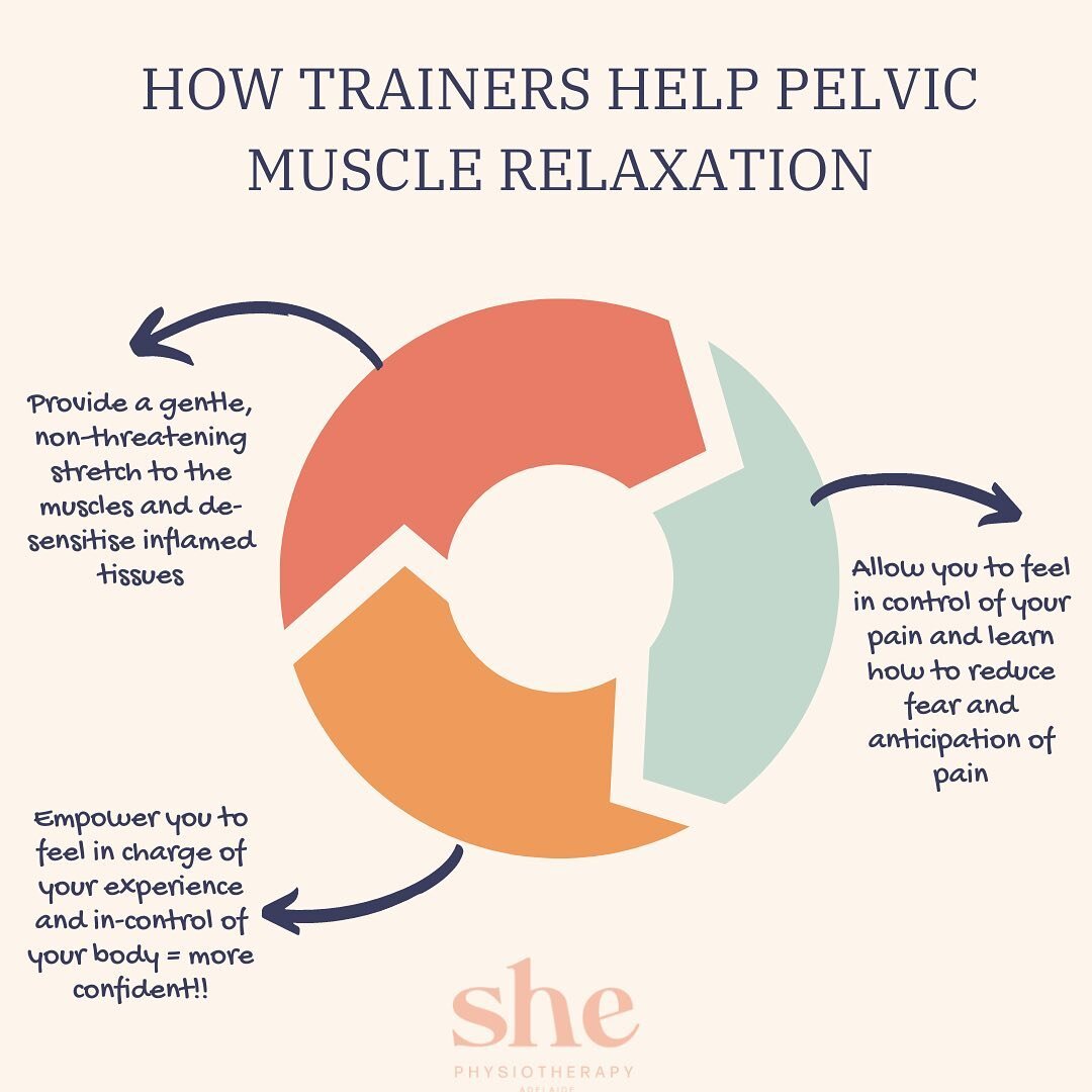 If you come and chat to us about pain with sex or intimacy one of the things we might talk to you about is using pelvic trainers. Pelvic trainers can be a great way to help gradually expose the pelvic floor muscles to stretch, reduce your fear of the