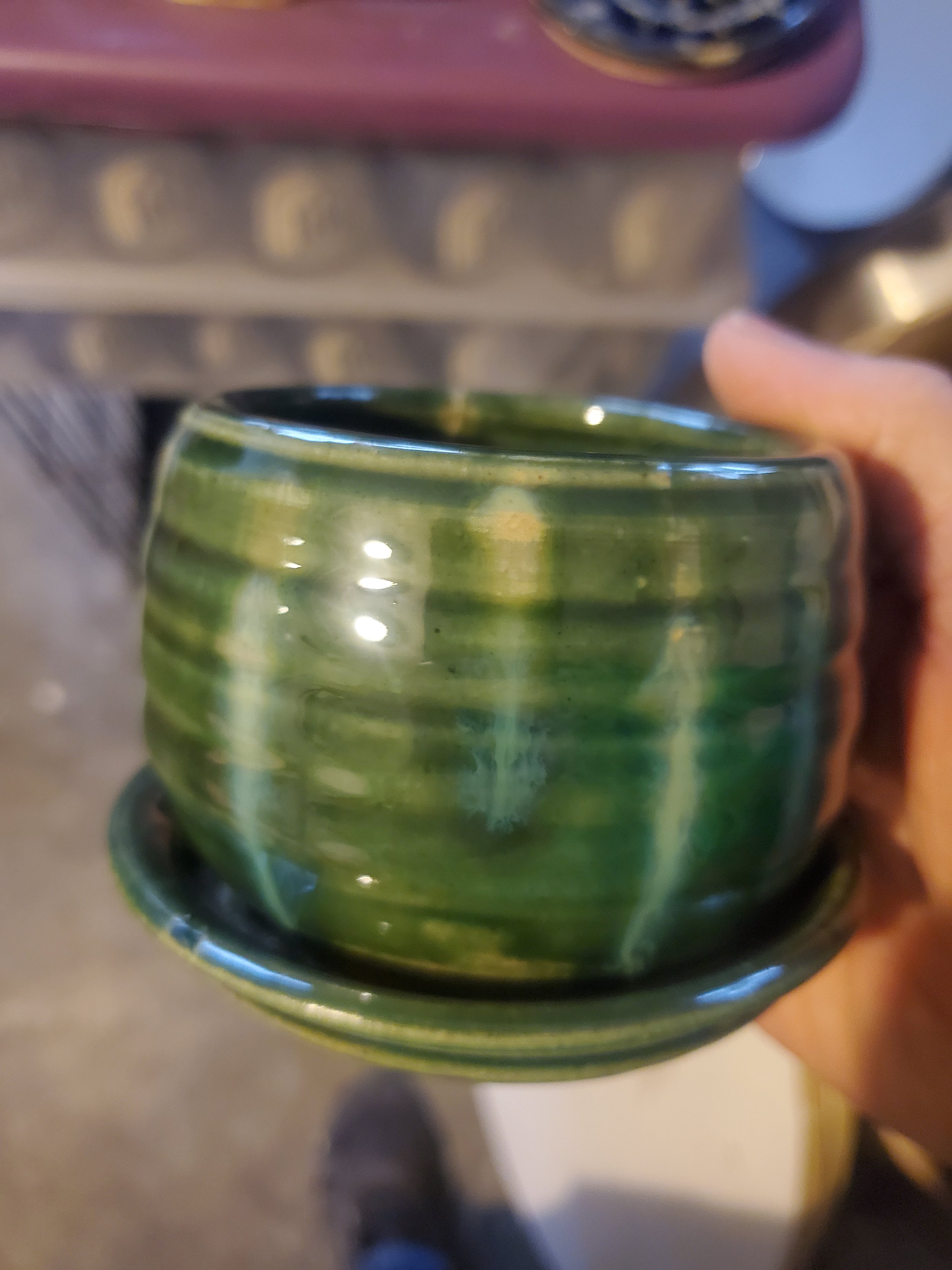 20230226_082033.jpg