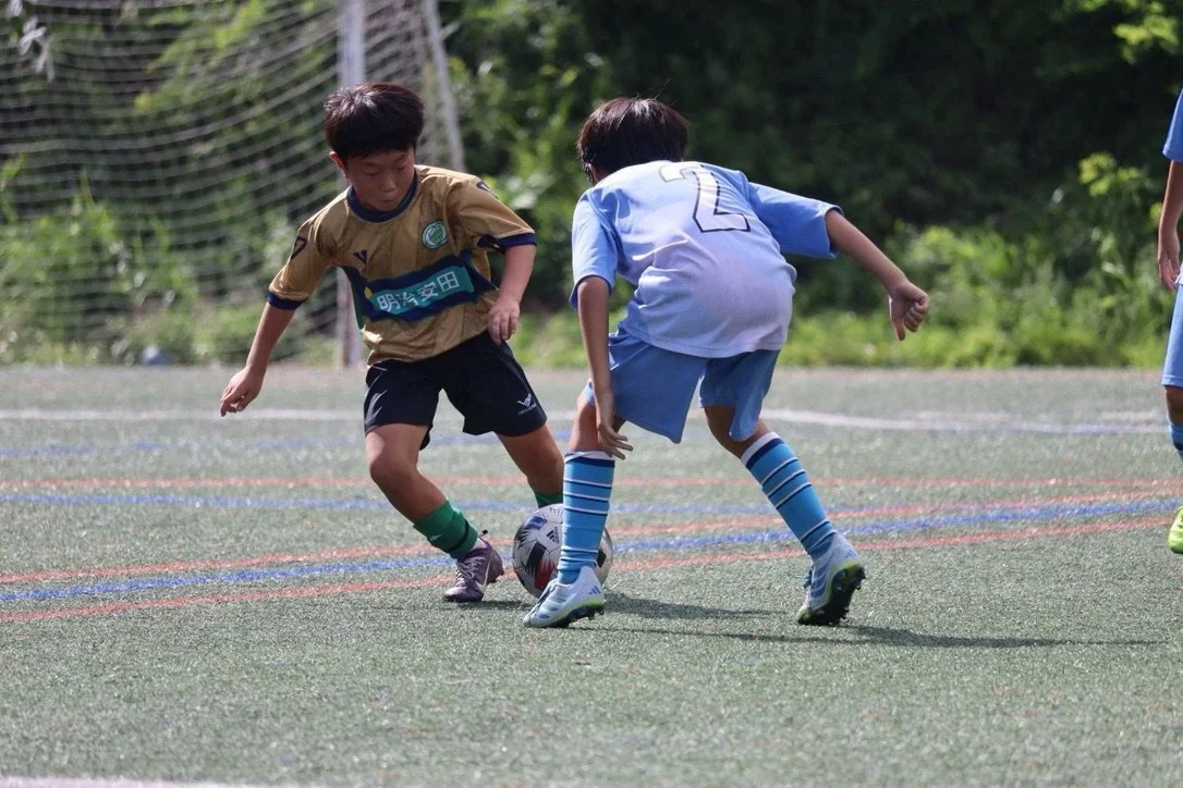 3D255D9E-F1DA-426E-B651-70ACD5179F98_1_105_c.jpeg