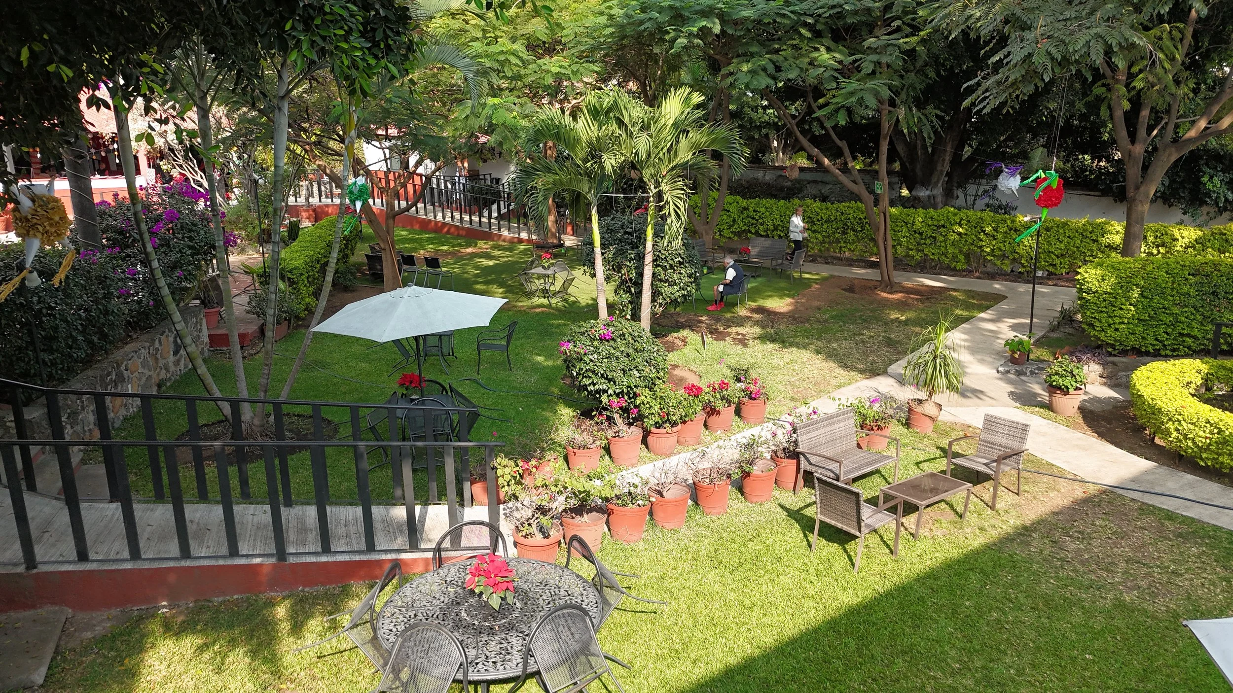 Página de un jardín con mesas y sillas, plantas en macetas, árboles, y personas sentadas y caminando.