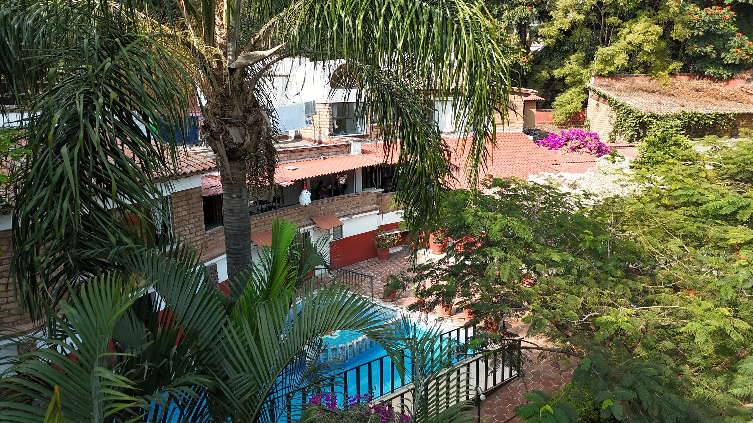Vista desde arriba de un área de piscina en un patio, rodeada de árboles y plantas verdes, con casas y tecnológicos en el fondo.