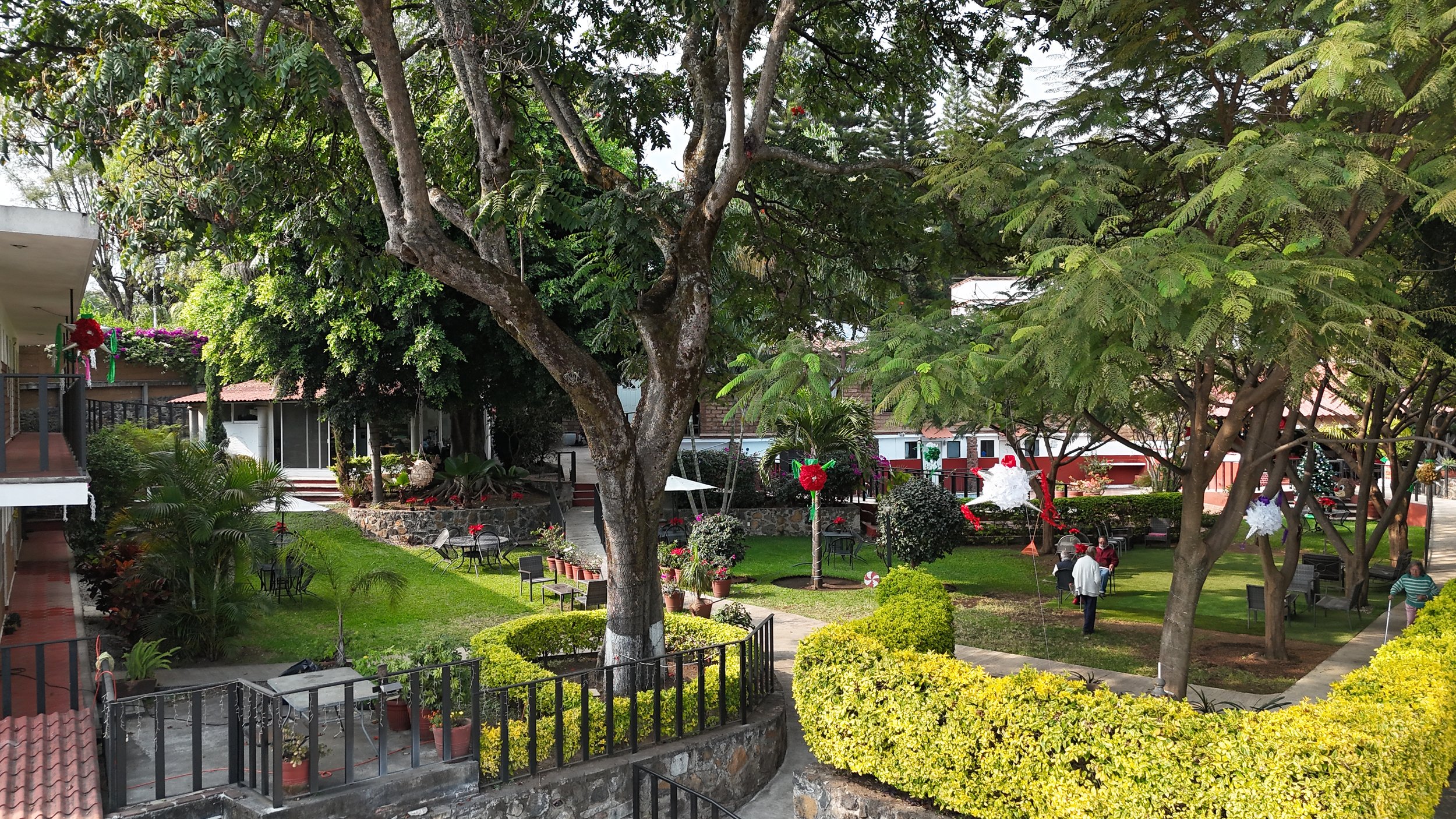 área de jardín con árboles y césped, algunas Personas sentadas en bancos, decoración navideña