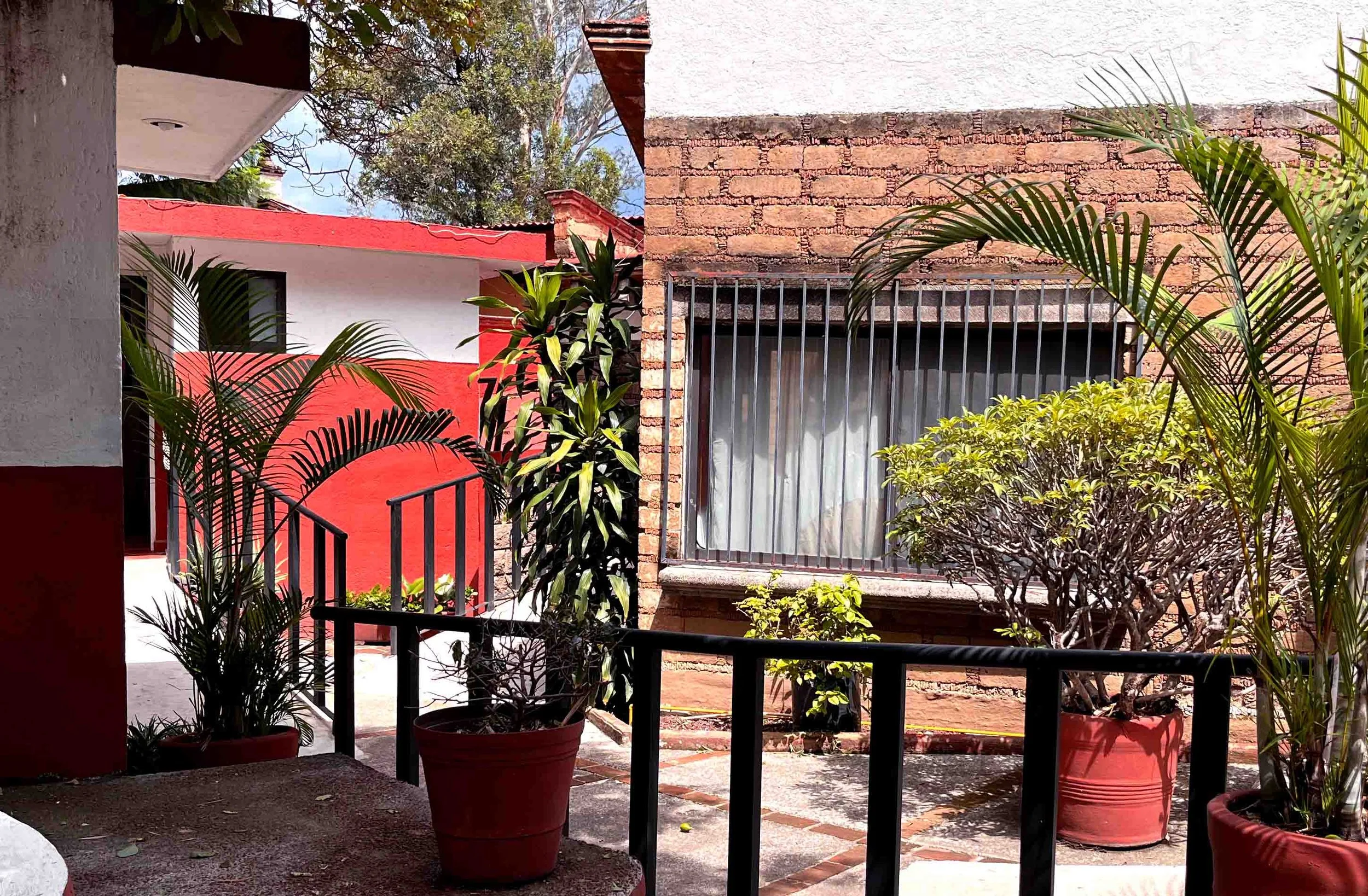 Jardín en un patio con plantas en macetas rojas, barandillas negras y paredes de ladrillo y pintura blanca y roja.