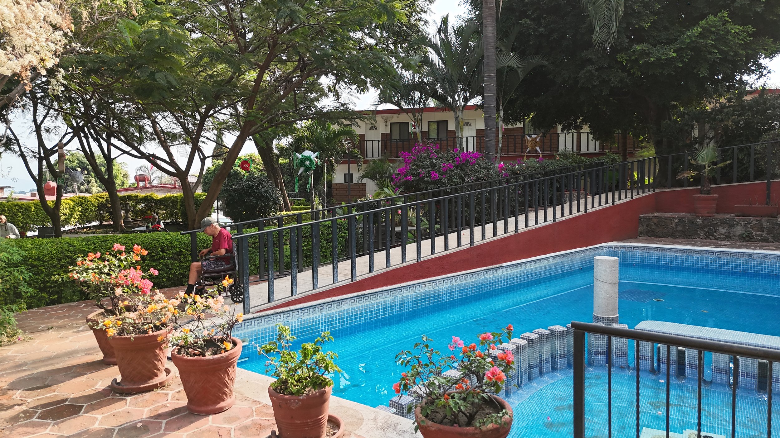 Piscina pequeña en un patio con macetas con flores de colores, un adulto mayor sentado en una banca, áreas verdes con árboles y flores, y un edificio en el fondo.