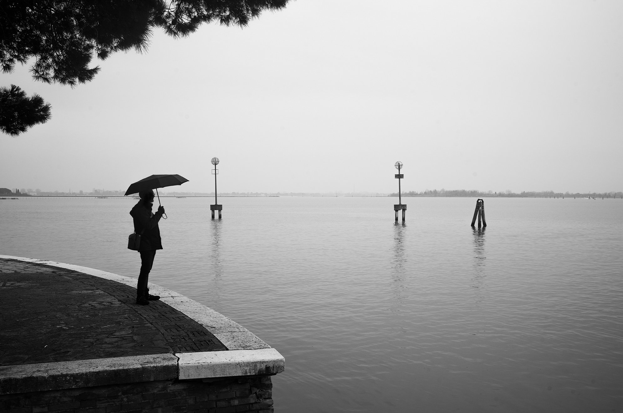 Venice_street_photography_workshyop_2024_1211.jpg
