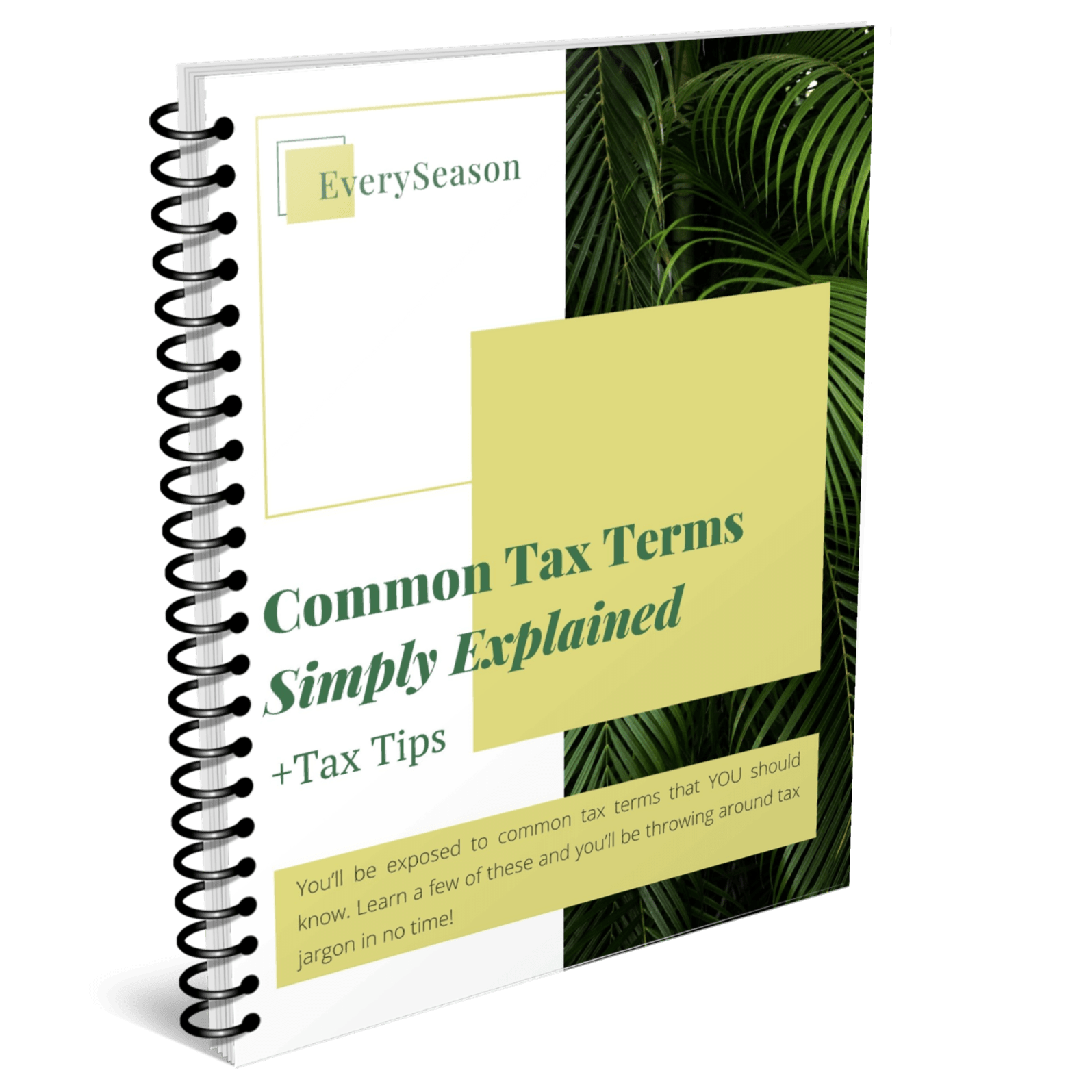common-tax-terms-every-season