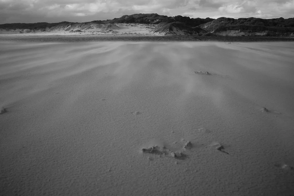 takayna landscape.jpeg