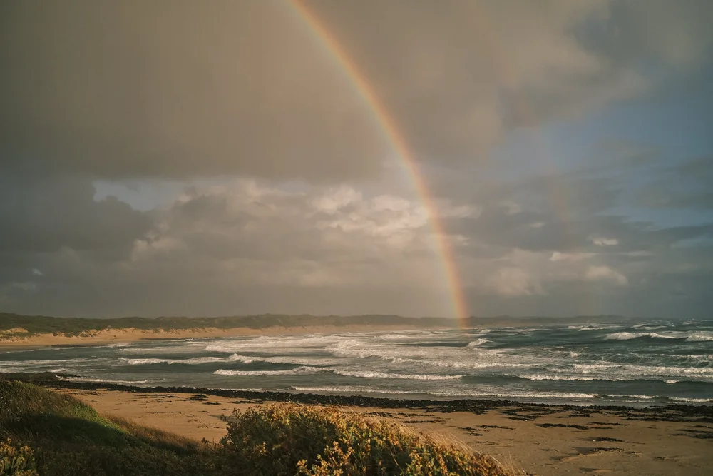 takayna landscape 2.jpeg