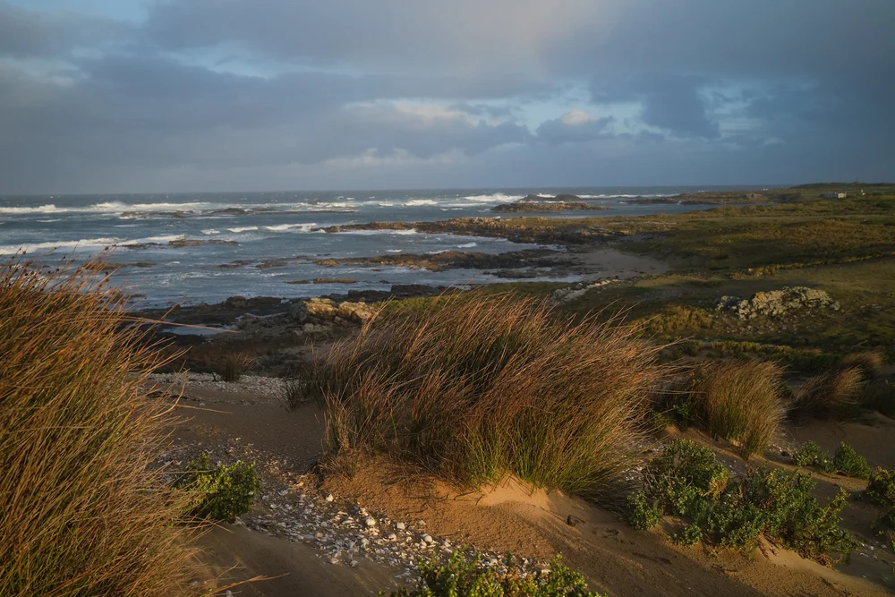 takayna landscape 4.jpeg