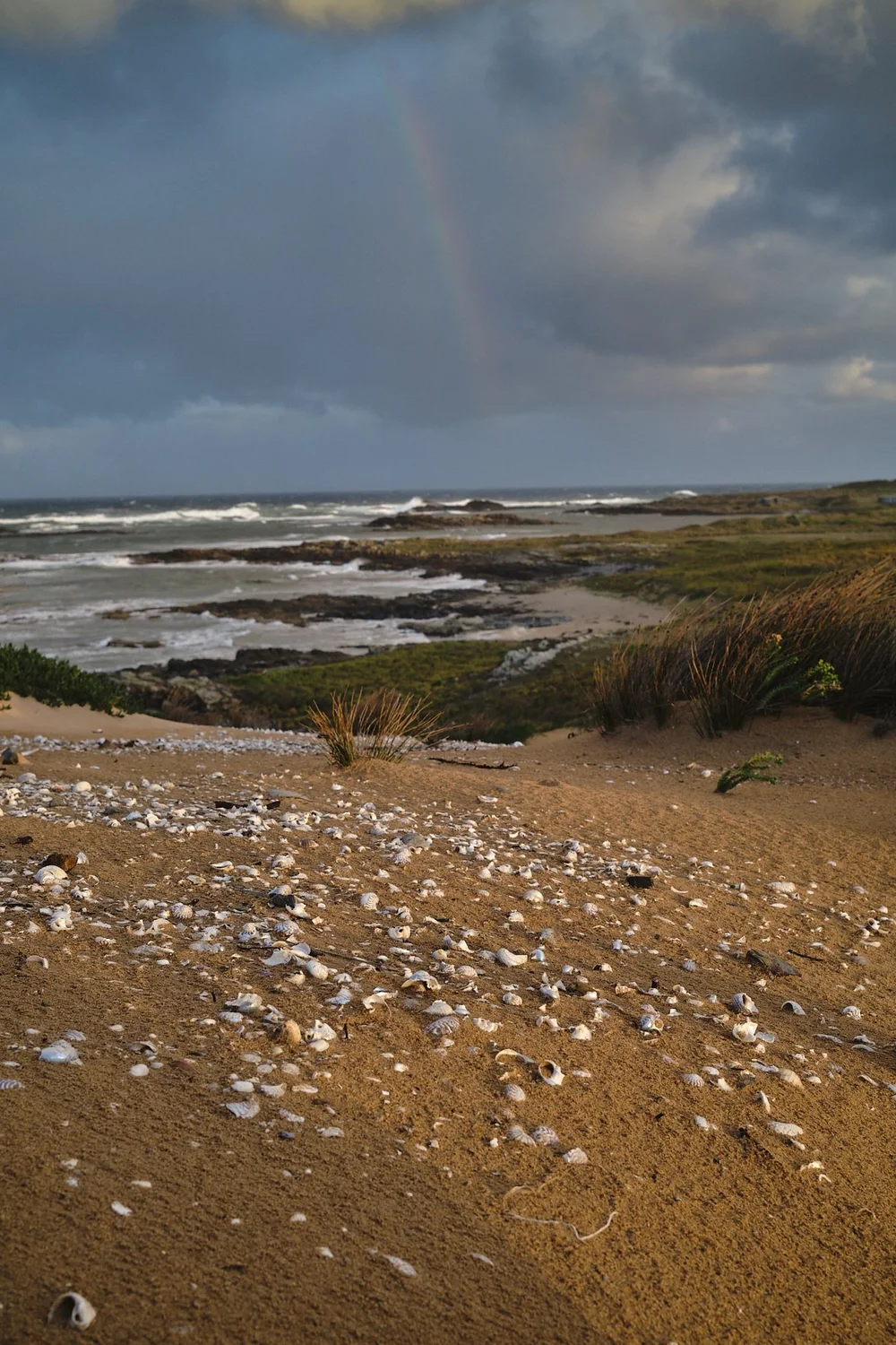 takayna landscape 3.jpeg