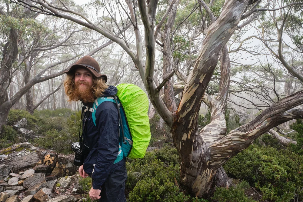 Mt Field - Tarn Shelf Track_L 2025.06.07 Hobart and Mount Field_T418743.jpg