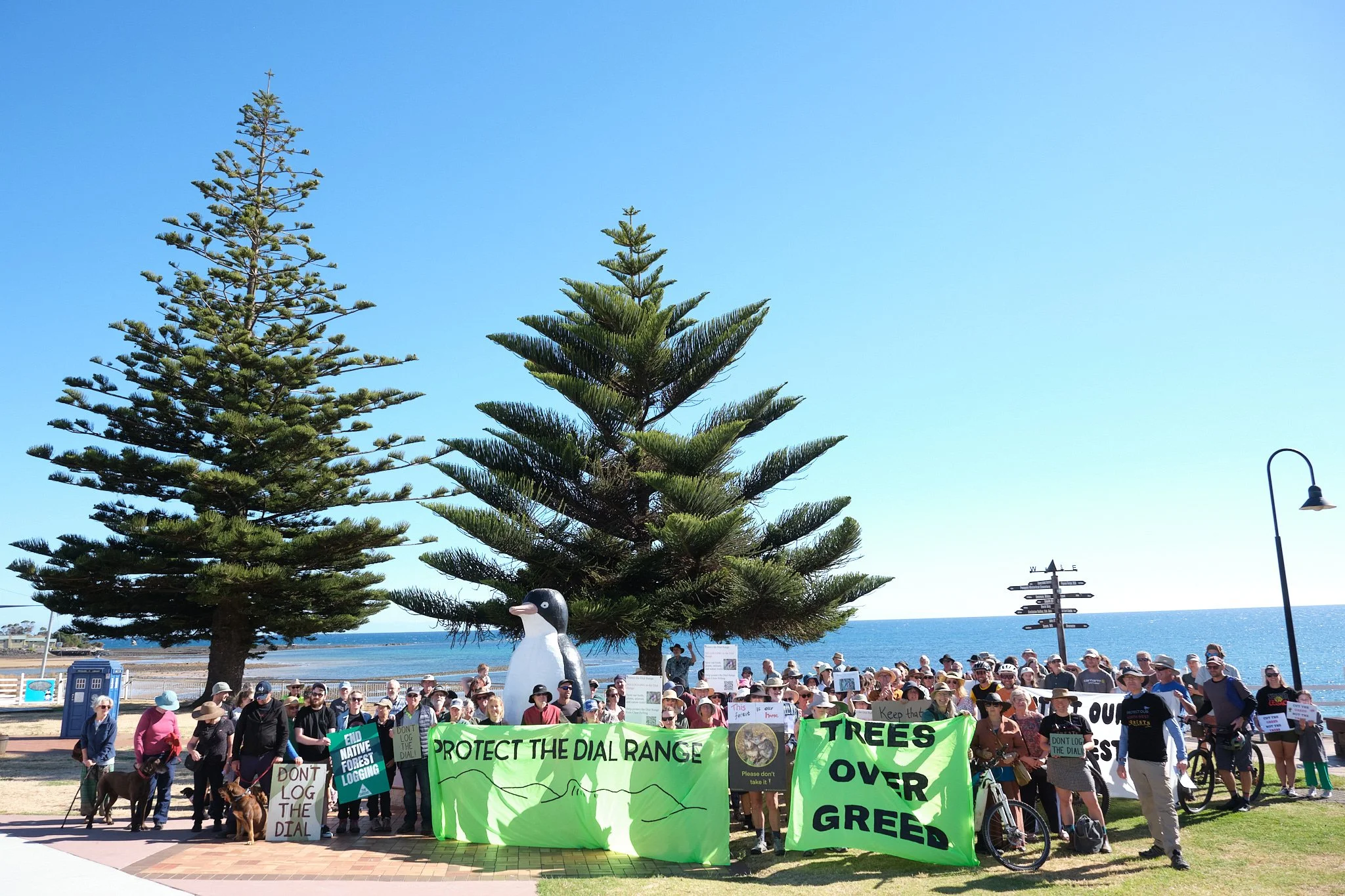 Dial Range Karen Keefe_T 2026.02.07 Penguin Gathering Dial Range _T413828.jpg