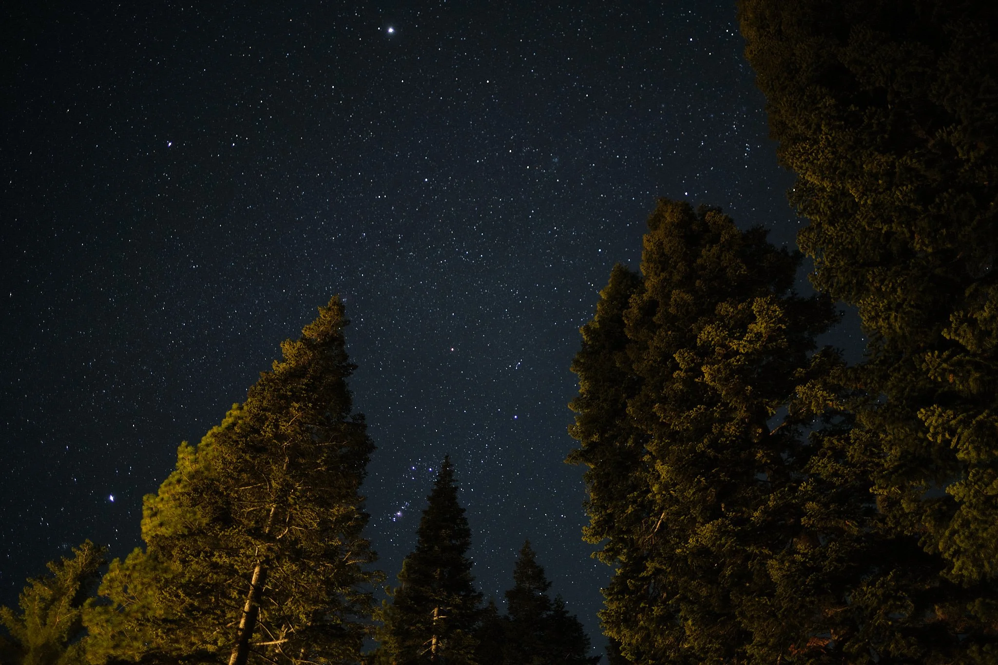 Tahoe and Millbrae surroundsT 2026.01.25 Millbrae and Tahoe _T411970.jpg