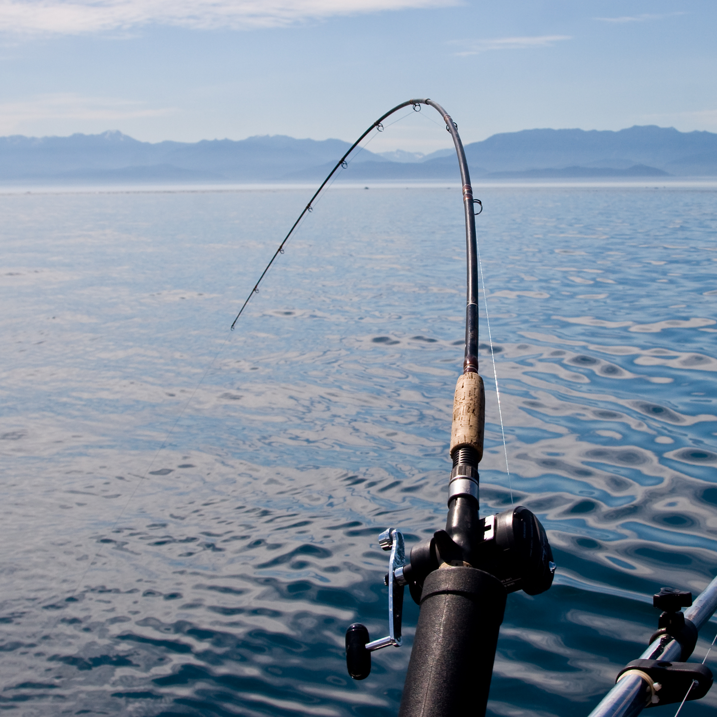 WHAT TIDE IS BEST FOR FISHING?