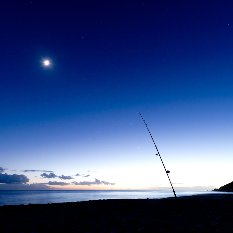 Night fishing tips from two pros — DECKEE