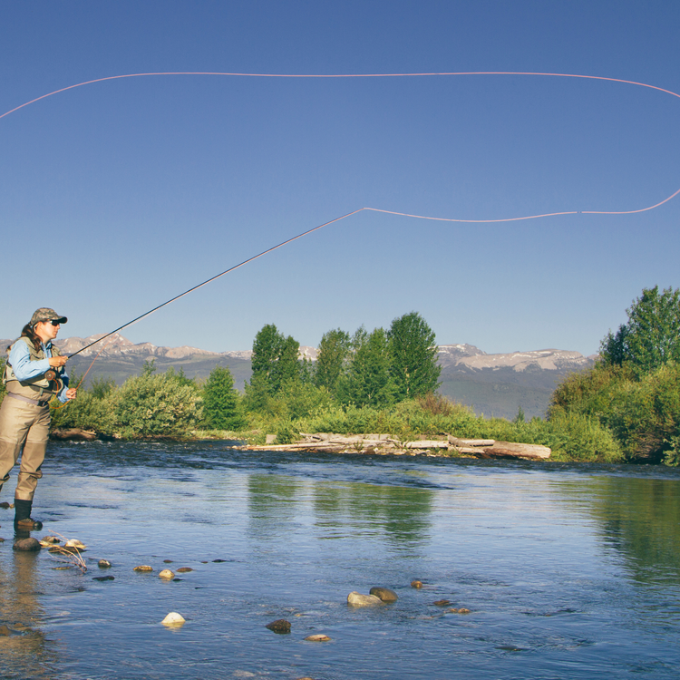 Fishing rod types explained — DECKEE