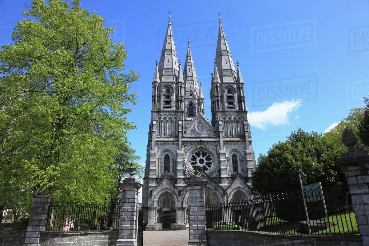 St. Fin Barres's.jpeg
