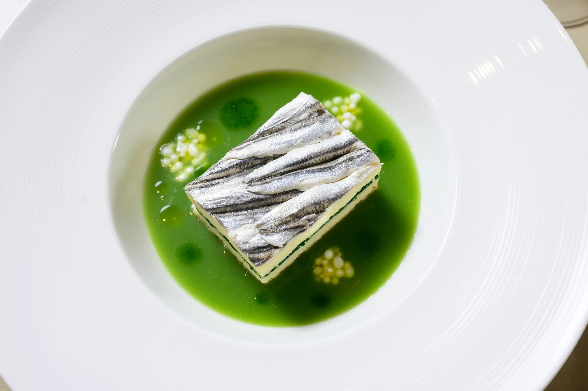 A white plate with a square piece of layered seafood dish, possibly fish, placed on a bed of green sauce with small white droplets and green round accents.