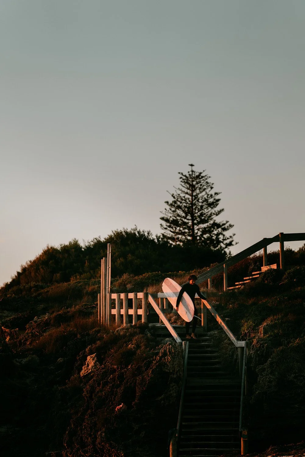 Person carrying a surfboard walking down stairs at sunset on a hillside with trees in the background.