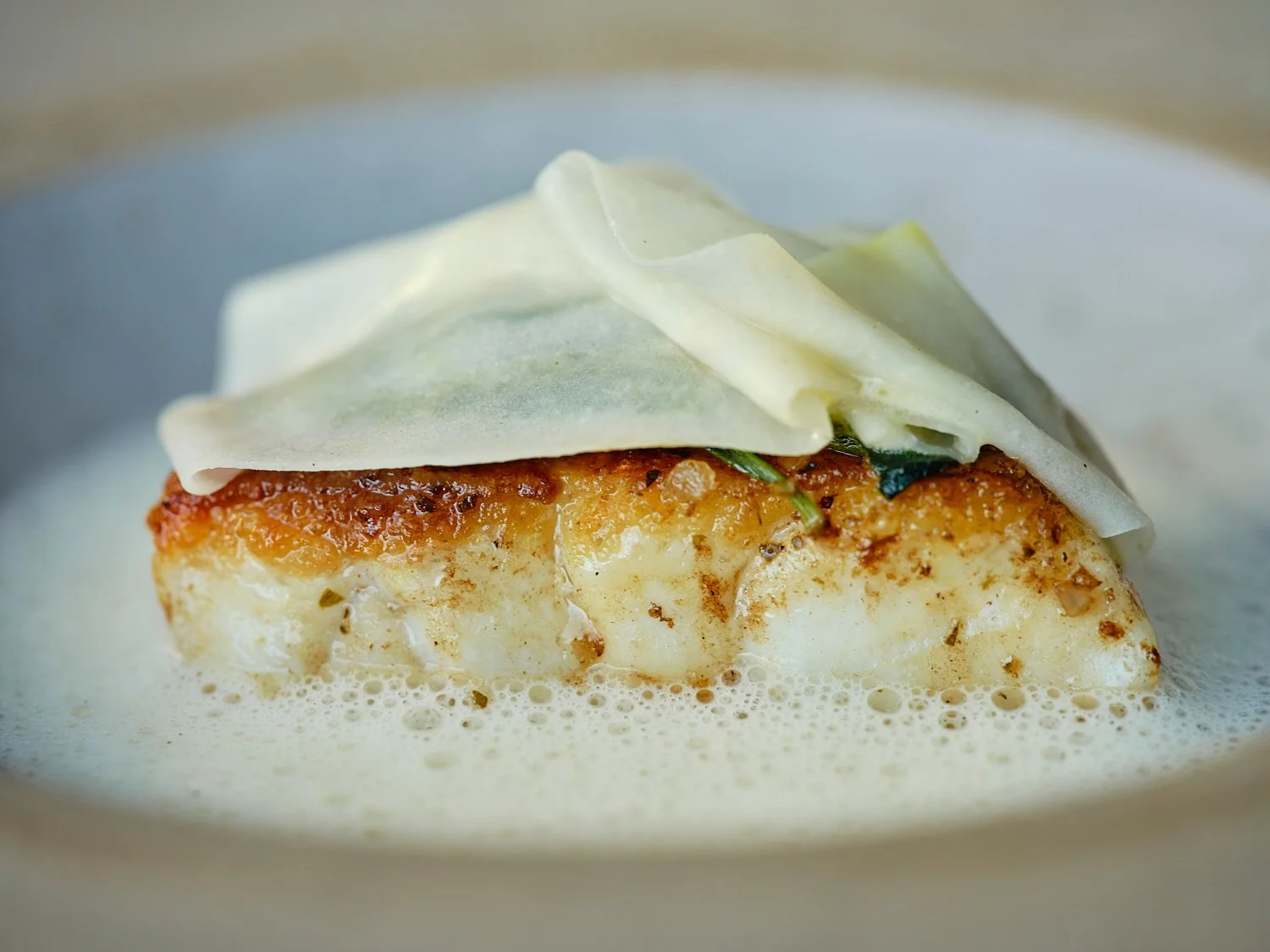 Close-up of a piece of cooked white fish topped with a thin piece of cheese and a sheet of thinly sliced vegetable, served in a creamy sauce.