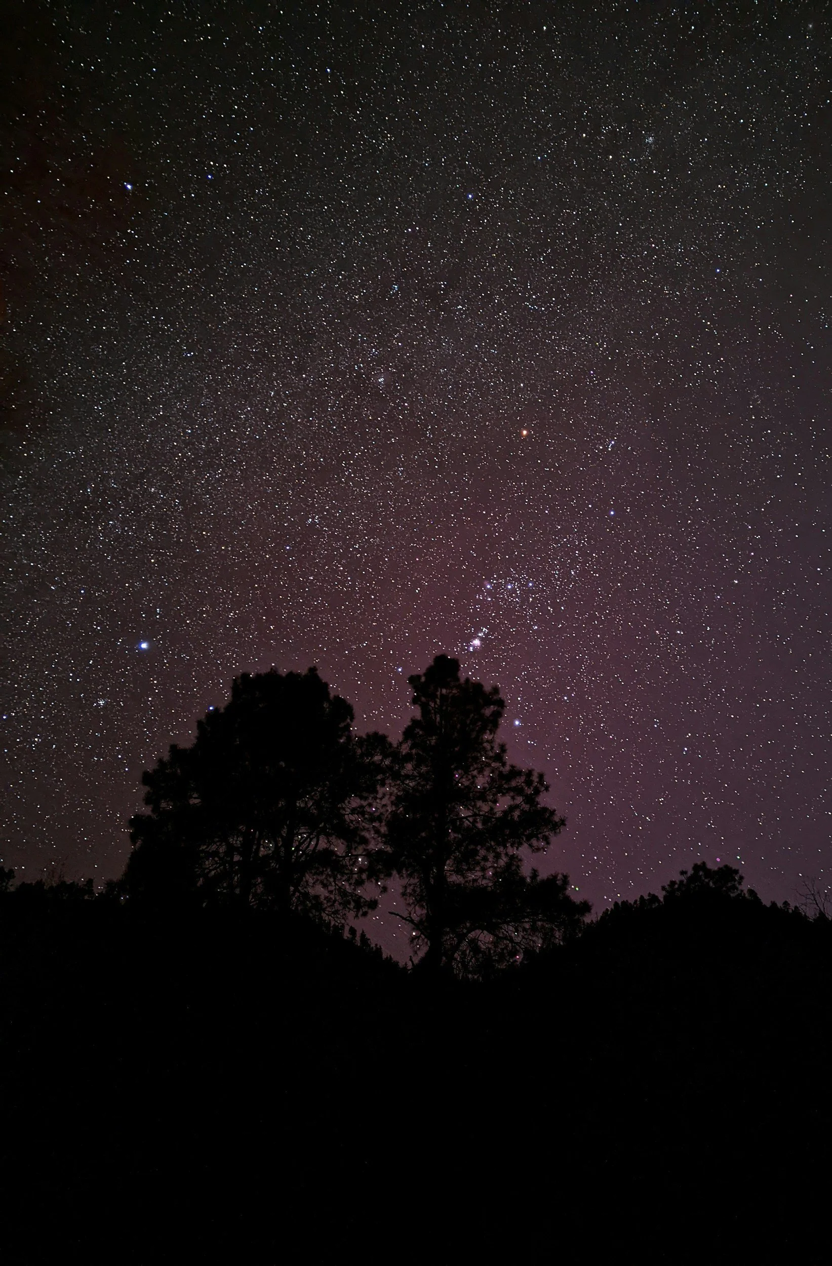 All the gaping wounds under one starry sky