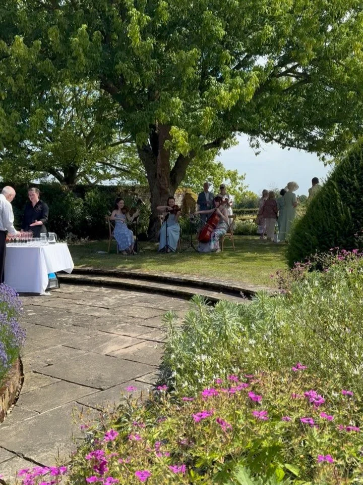 So lovely to see (and hear!) the lovely @chiqas_music at Crows Hall today! A truly beautiful day today for our lovely wedding couple.