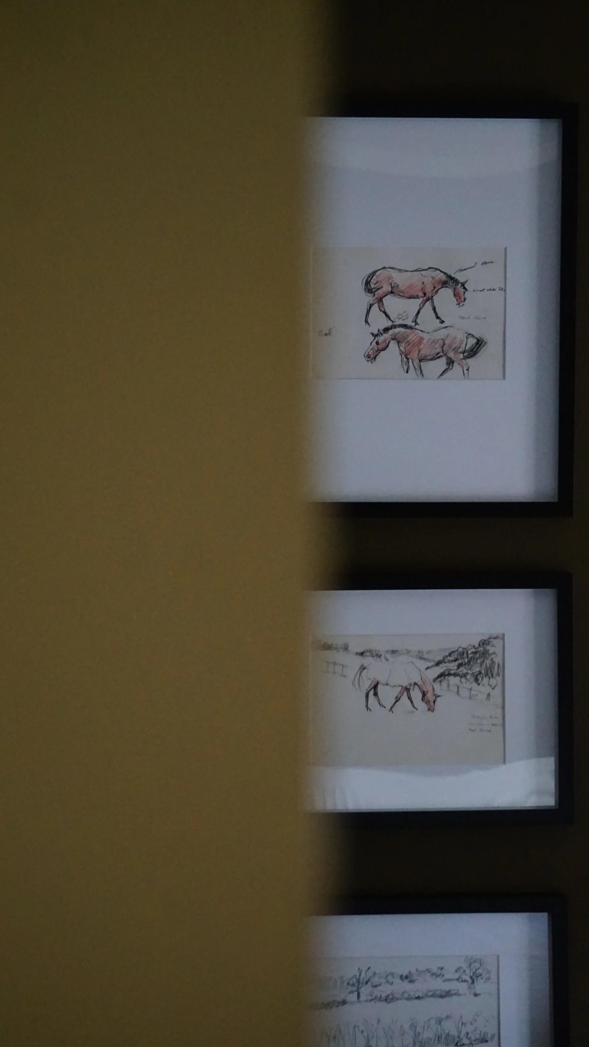 original sketches of horses in black frames