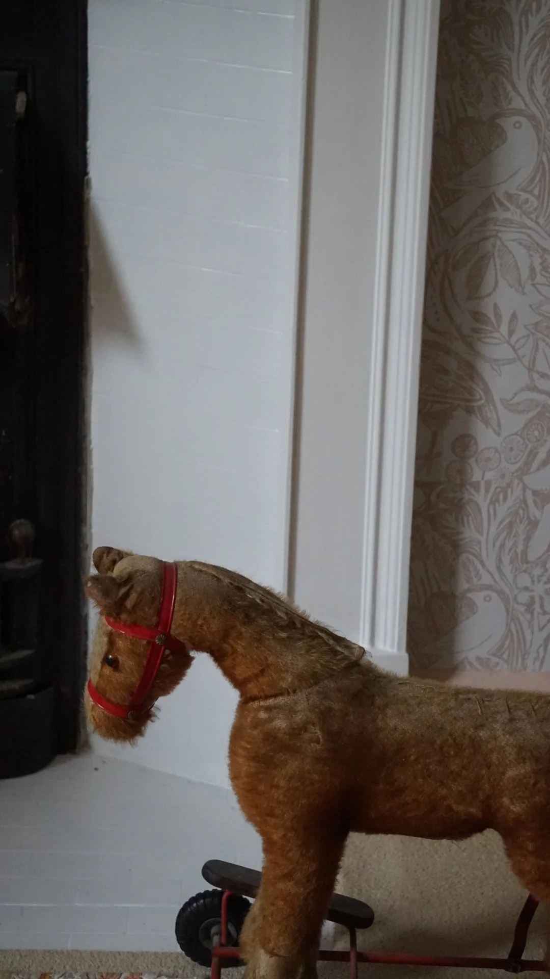 As the light draws in