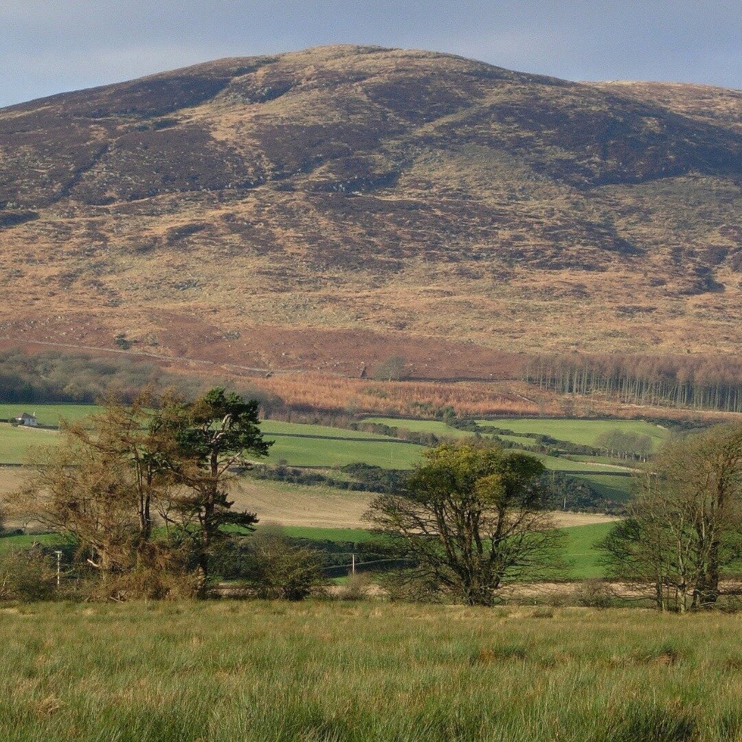 Becoming a National Park would help to support and renew the beautiful towns and villages of Galloway, improving life for our communities. It&rsquo;s a wonderful place to live...
.
Read more on our website. Link in bio @galloway_national_park 
.
#gal