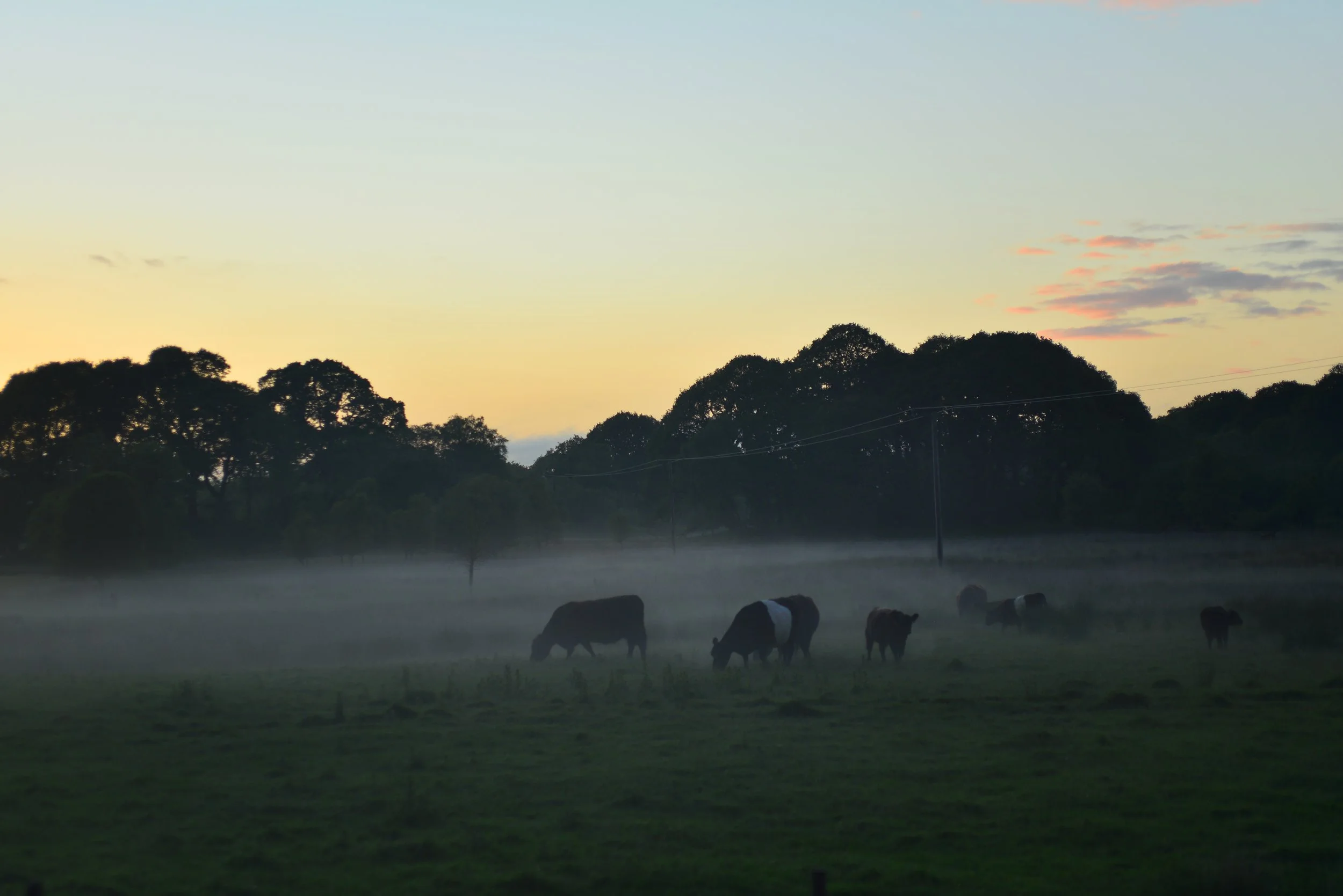 Cree Valley ©David Spruce