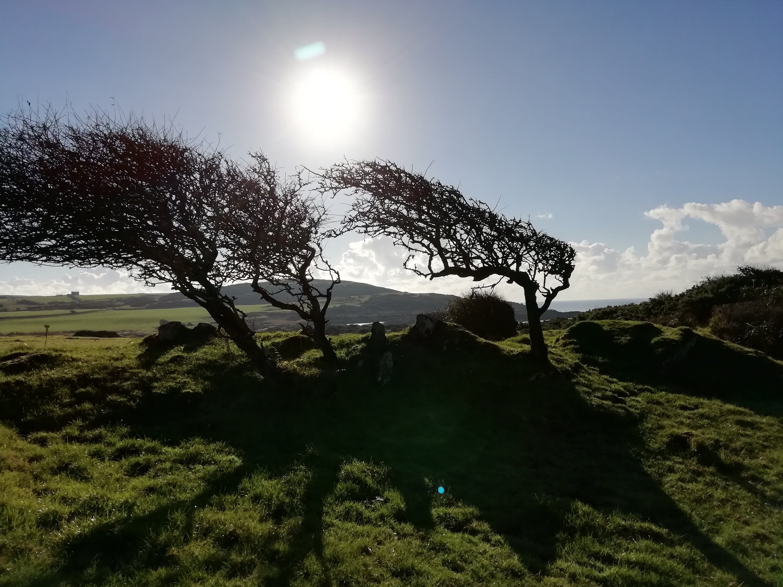 Borgue Landscape ©John Shields