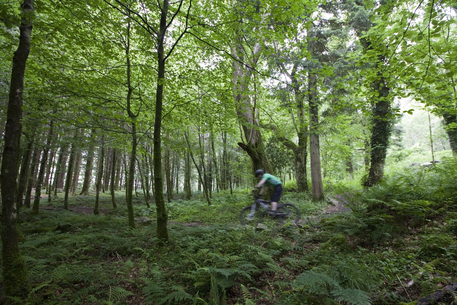 Kirroughtree Bike Trail ©Colin Tennant