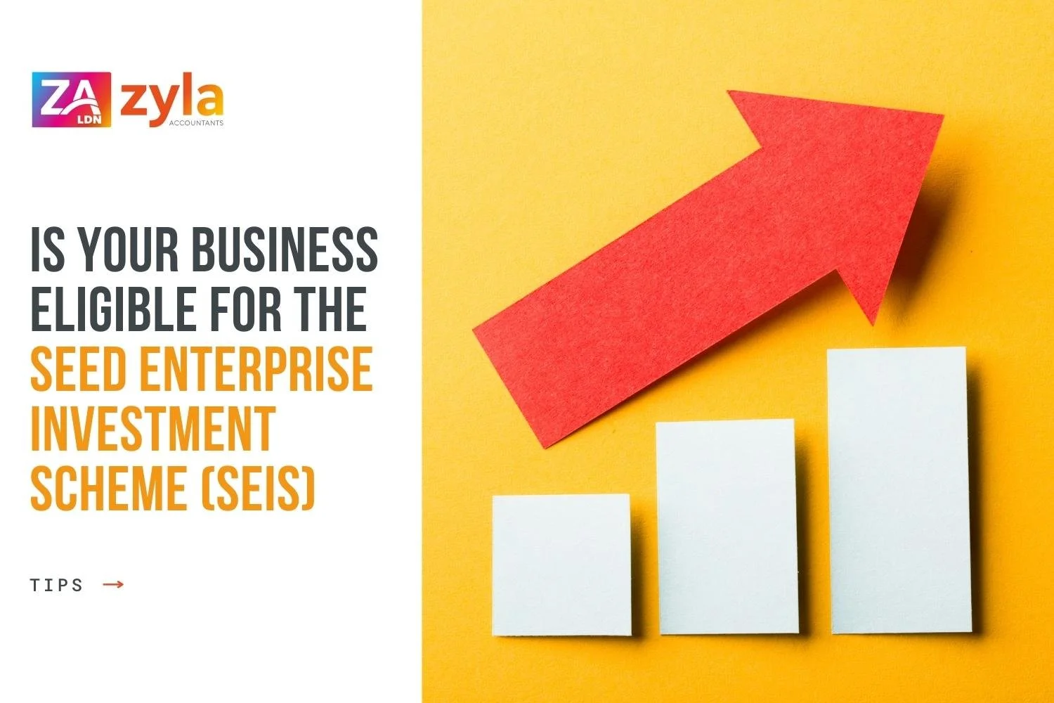 The Seed Enterprise Investment Scheme (SEIS)