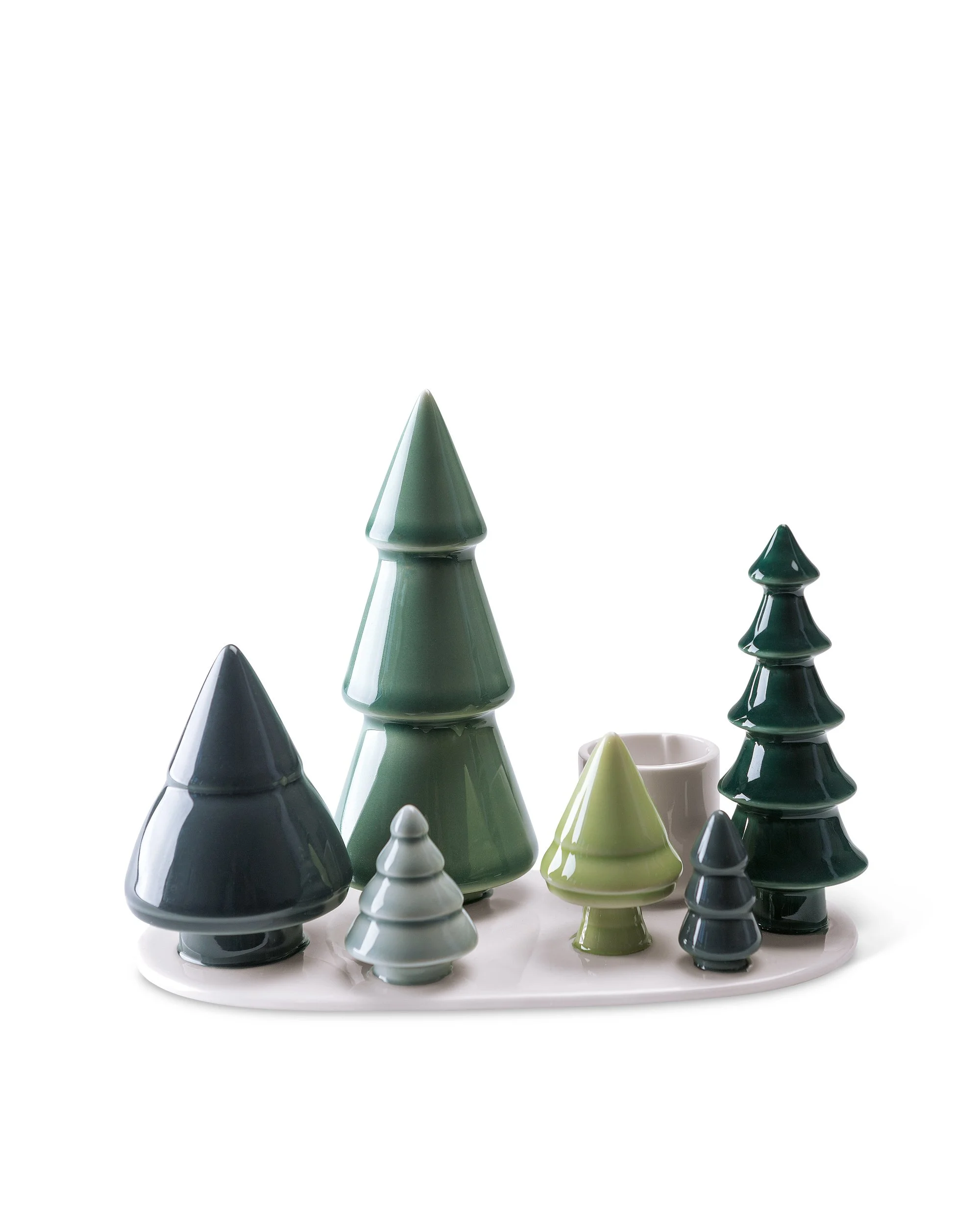 Winter Stories Forest