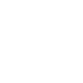 SLF Bildmarke in weiß