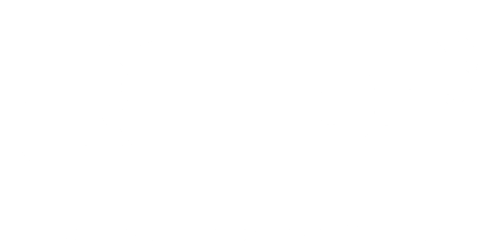 Remos Logo in weiß