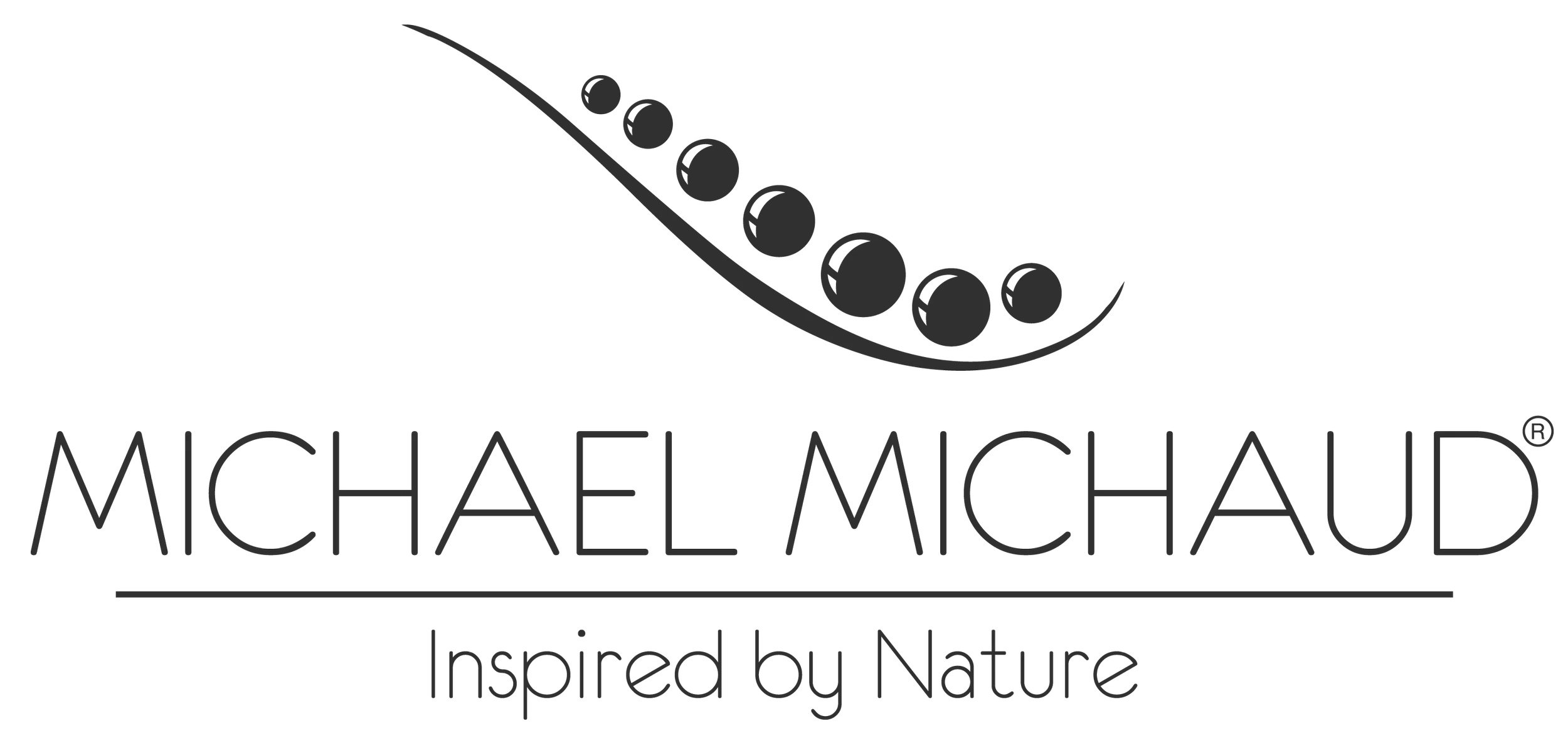 michael-michaud-logo.webp
