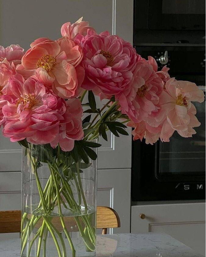 When you buy a beautiful bouquet of peonies, you cannot choose the day or time when they will fully bloom. It happens in its own time. 

The same applies on our own journey through life.

We all bloom in our own time. 

There really is no rush...

So