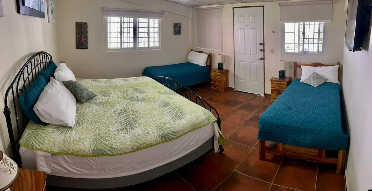 WhatsApp Image 2022-11-15 at 2.38.35 PM.jpeg