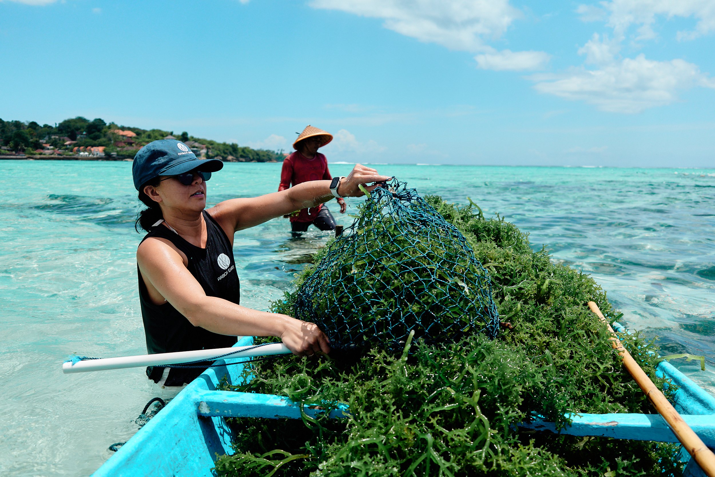 Gothenburg Climate Pioneer Arbon Earth Secures Historic Carbon Removal Permit in Indonesia
