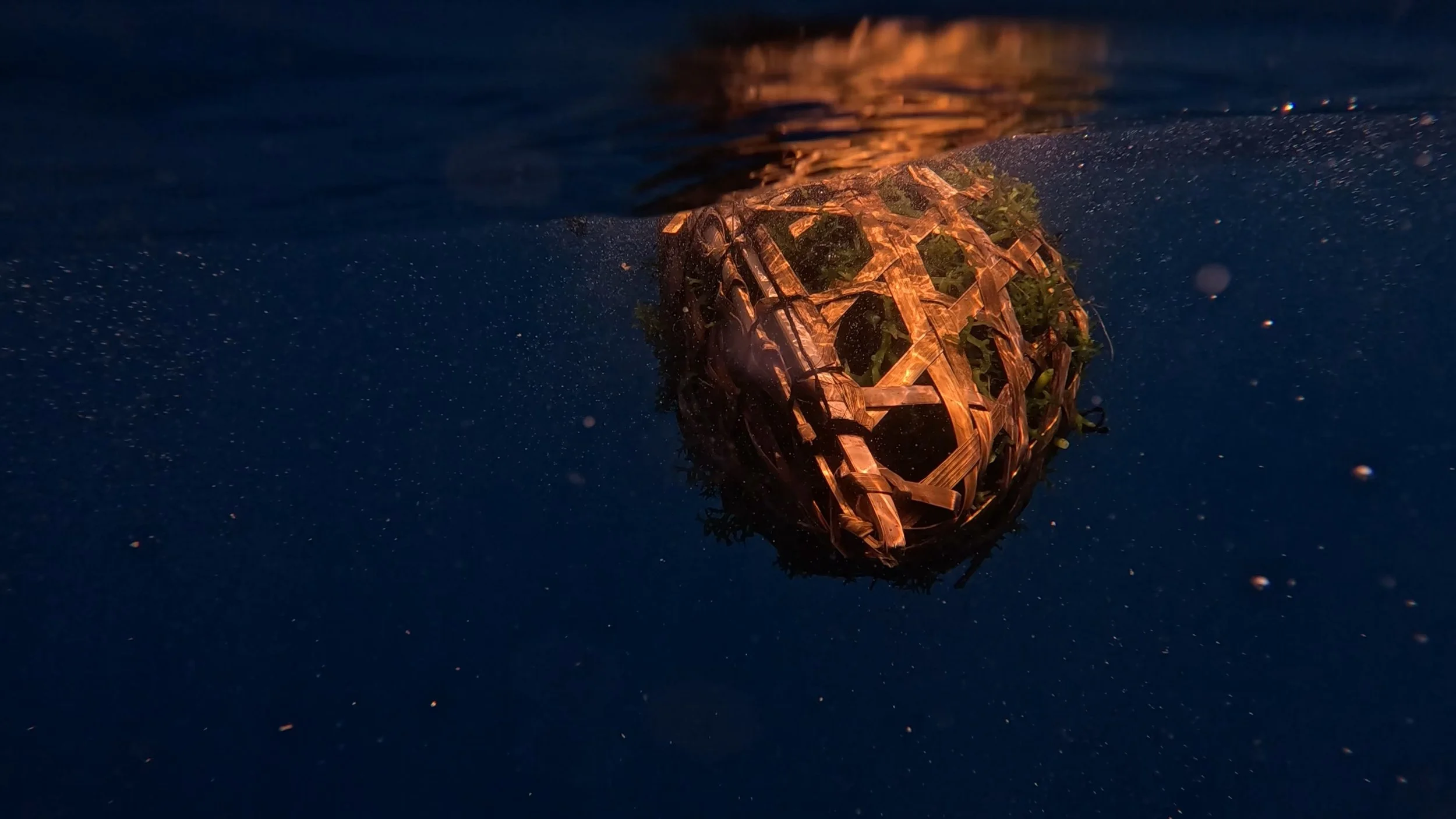 oceanbasket just deployed dark.jpg