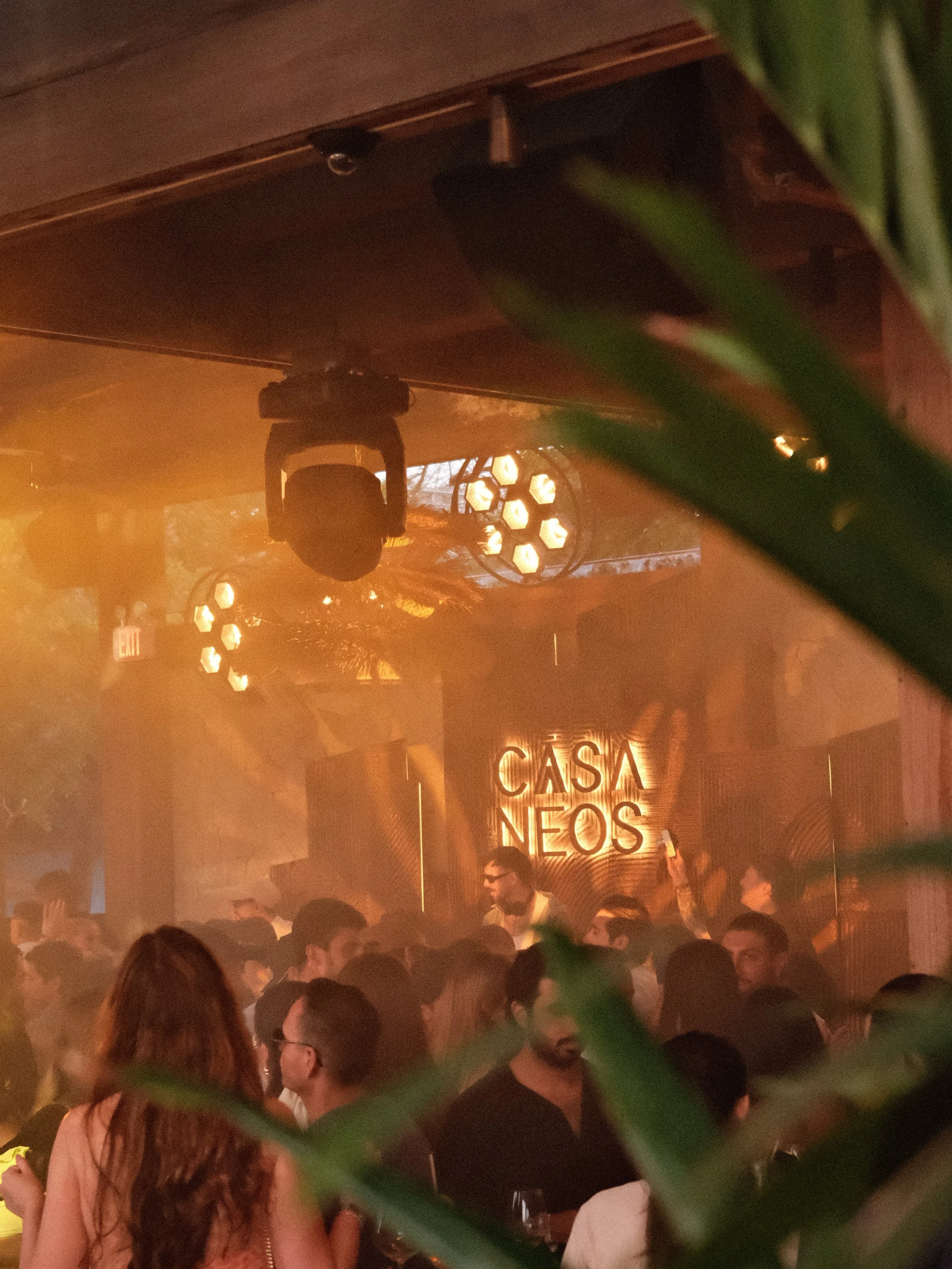 Dimly lit nightclub scene with a crowd of people and a sign reading 'Casa Neos' in the background. Stage lights and equipment are visible, with some green foliage partially obscuring the view.